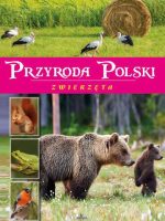 Przyroda polski zwierzęta