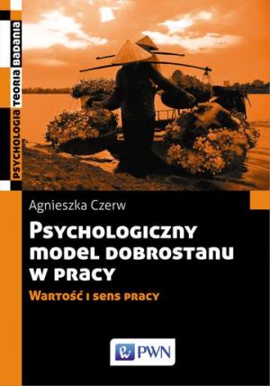 Psychologiczny model dobrostanu w pracy wartość i sens pracy