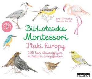 Ptaki Europy. Biblioteczka Montessori