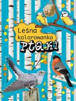 Ptaki leśna kolorowanka