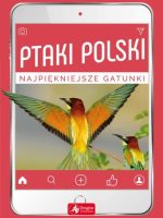 Ptaki polski najpiękniejsze gatunki