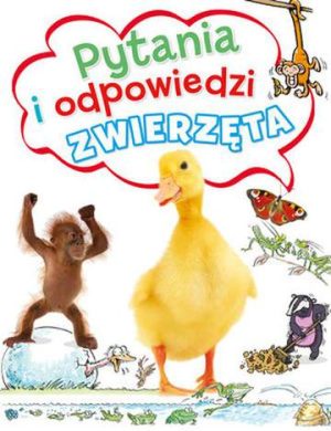 Pytania i odpowiedzi. Zwierzęta