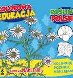 Rośliny polski kolorowa edukacja