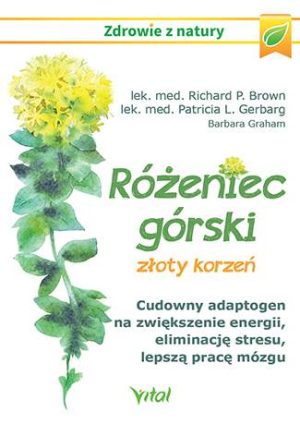 Różeniec górski złoty korzeń cudowny adaptogen na zwiększenie energii eliminację stresu lepszą pracę mózgu i wiele innych