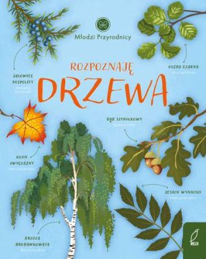 Rozpoznaję drzewa. Młodzi przyrodnicy