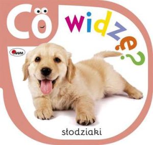 Słodziaki co widzę