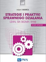 Strategie i praktyki sprawnego działania lean six sigma i inne