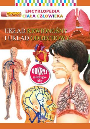 Układ krwionośny i układ oddechowy encyklopedia ciała człowieka