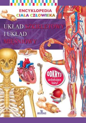 Układ szkieletowy i układ mięśniowy encyklopedia ciała człowieka