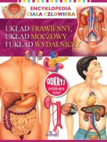 Układ trawienny układ moczowy i układ wydalniczy encyklopedia ciała człowieka