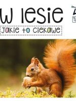 W lesie jakie to ciekawe Kapitan Nauka