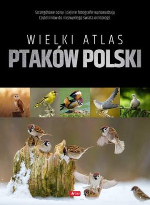 Wielki atlas ptaków polski