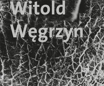 Witold Węgrzyn Nieuchwytna materialność