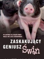 Zaskakujący geniusz świń