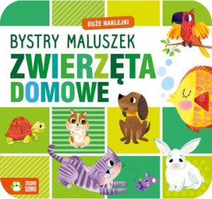 Zwierzęta domowe. Bystry maluszek