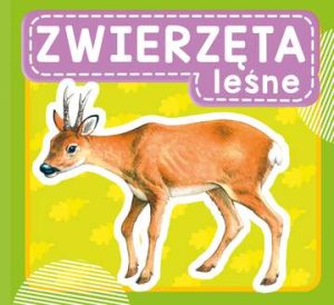 Zwierzęta leśne