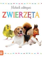 Zwierzęta maluch odkrywa