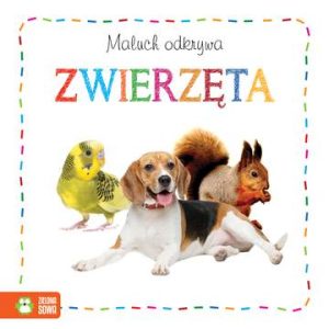 Zwierzęta maluch odkrywa