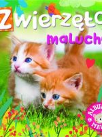 Zwierzęta maluchy album malucha