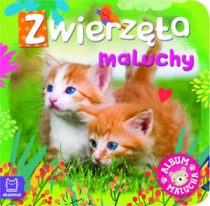 Zwierzęta maluchy album malucha