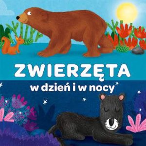 Zwierzęta w dzień i w nocy harmonijka Kapitan Nauka