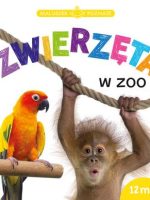 Zwierzęta w zoo maluszek poznaje