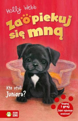 Kto utuli Juniora? Zaopiekuj się mną