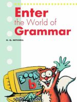 Enter The World Of Grammar Book B