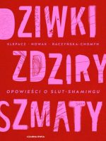 Dziwki, zdziry, szmaty. Opowieści o slut-shamingu