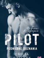 Pilot. Podniebne doznania. Faceci do wynajęcia. Tom 6