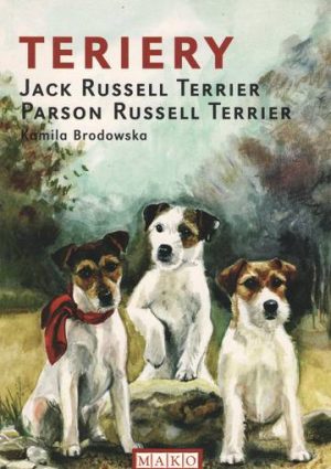 Terriery Jack Russell, Terrier Parson Russell Terrier