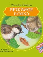 Piegowate Piórko