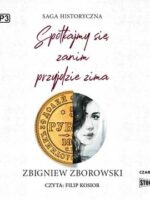 CD MP3 Spotkajmy się, zanim przyjdzie zima