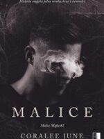 Malice. Mafia Tom 1