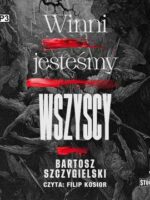 CD MP3 Winni jesteśmy wszyscy