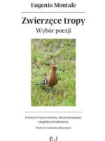 Zwierzęce tropy