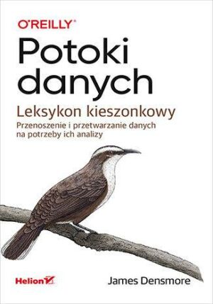 Potoki danych. Leksykon kieszonkowy. Przenoszenie i przetwarzanie danych na potrzeby ich analizy