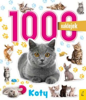 Koty. 1000 naklejek