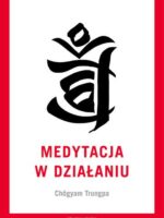 Medytacja w działaniu