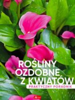 Rośliny ozdobne z kwiatów. Poradnik praktyczny