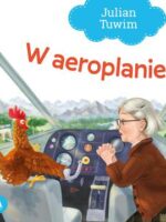 W aeroplanie