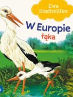 W Europie. Łąka