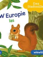 W Europie. Las. Wiewiórka