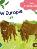 W Europie. Las. Żubr