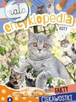 Koty. Mała encyklopedia