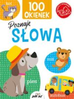 Poznaję słowa. 100 okienek