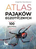 Atlas pająków egzotycznych. 100 gatunków