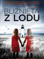 Bliźnięta z lodu. Thriller psychologiczny