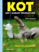 Kot. Gry i zabawy edukacyjne