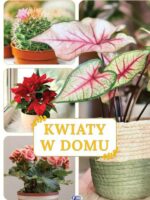 Kwiaty w domu